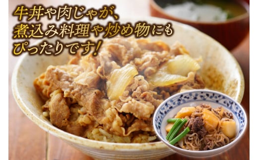 ＼2ヶ月連続 定期便／ 切り落とし 赤身 肉 牛肉 いわて 短角和牛 500g (総計 1000g) 小分けパック 真空冷凍 | 牛肉 肉 赤身 短角 和牛 国産牛 ブランド牛 切り落し 大容量 牛丼 肉じゃが 煮込み 煮物 小分け 真空パック 数量限定 (AB115)