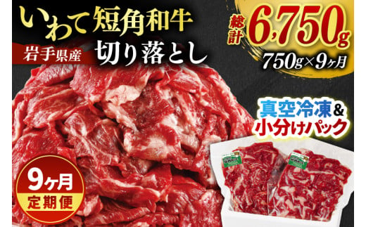 ＼9ヶ月連続 定期便／ 切り落とし 赤身 肉 牛肉 いわて 短角和牛 750g (総計 6750g) 小分けパック 真空冷凍 | 牛肉 肉 赤身 短角 和牛 国産牛 ブランド牛 切り落し 大容量 牛丼 肉じゃが 煮込み 煮物 小分け 真空パック 数量限定 (AB123)