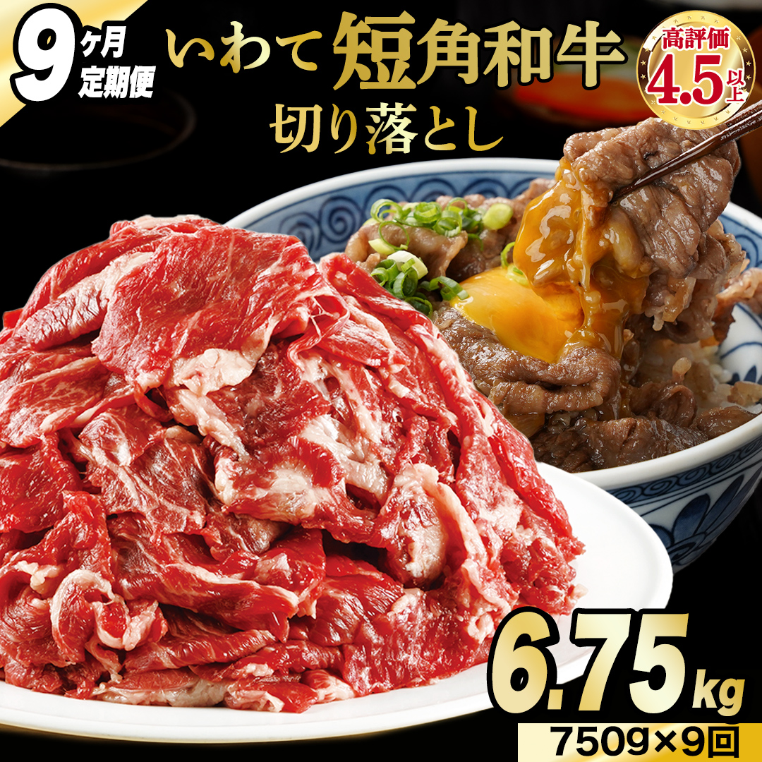 ＼9ヶ月連続 定期便／ 切り落とし 赤身 肉 牛肉 いわて 短角和牛 750g (総計 6750g) 小分けパック 真空冷凍 | 牛肉 肉 赤身 短角 和牛 国産牛 ブランド牛 切り落し 大容量 牛丼 肉じゃが 煮込み 煮物 小分け 真空パック 数量限定 (AB123)