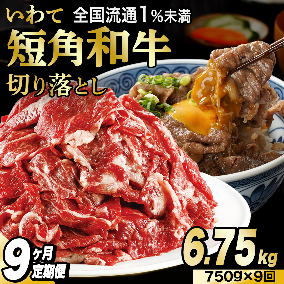 ＼9ヶ月連続 定期便／ 切り落とし 赤身 肉 牛肉 いわて 短角和牛 750g (総計 6750g) 小分けパック 真空冷凍 | 牛肉 肉 赤身 短角 和牛 国産牛 ブランド牛 切り落し 大容量 牛丼 肉じゃが 煮込み 煮物 小分け 真空パック 数量限定 (AB123)