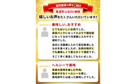 ＼9ヶ月連続 定期便／ 切り落とし 赤身 肉 牛肉 いわて 短角和牛 750g (総計 6750g) 小分けパック 真空冷凍 | 牛肉 肉 赤身 短角 和牛 国産牛 ブランド牛 切り落し 大容量 牛丼 肉じゃが 煮込み 煮物 小分け 真空パック 数量限定 (AB123)