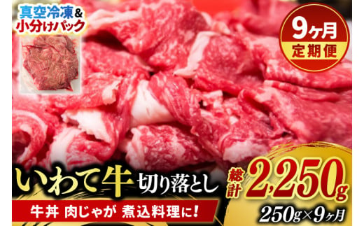 ＼9ヶ月連続 定期便／ 切り落とし 肉 牛肉 小分け 真空冷凍 いわて牛 250g (総計 2250g) 岩手県産 和牛 牛肉 黒毛 和牛 切り落とし肉 大容量 肉 すき焼き 肉じゃが 煮込み 煮物 赤身 国産牛 小分け 冷凍 数量限定 (AB096)