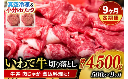 ＼9ヶ月連続 定期便／ 切り落とし 肉 牛肉 小分け 真空冷凍 いわて牛 500g (総計 4500g) 岩手県産 和牛 牛肉 黒毛 和牛 切り落とし肉 大容量 肉 すき焼き 肉じゃが 煮込み 煮物 赤身 国産牛 小分け 冷凍 数量限定 (AB101)