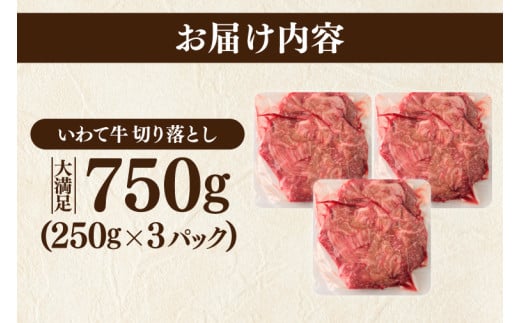 ＼2ヶ月連続 定期便／ 切り落とし 肉 牛肉 小分け 真空冷凍 いわて牛 750g (総計 1500g) 岩手県産 和牛 牛肉 黒毛 和牛 切り落とし肉 大容量 肉 すき焼き 肉じゃが 煮込み 煮物 赤身 国産牛 小分け 冷凍 数量限定 (AB103)