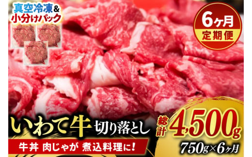 ＼6ヶ月連続 定期便／ 切り落とし 肉 牛肉 小分け 真空冷凍 いわて牛 750g (総計 4500g) 岩手県産 和牛 牛肉 黒毛 和牛 切り落とし肉 大容量 肉 すき焼き 肉じゃが 煮込み 煮物 赤身 国産牛 小分け 冷凍 数量限定 (AB105)