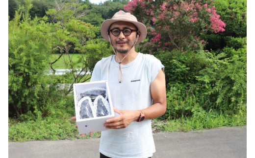 ＼数量限定 9月発送予定／ ぶどう キャンベルアーリー 約4.8kg 4箱 (1箱あたり：3～4房入り) (EK004)