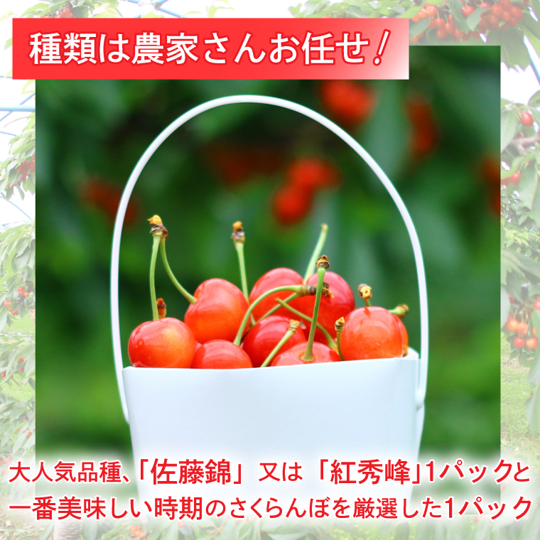 さくらんぼ【数量限定・先行予約】＼品種おまかせ／さくらんぼ食べくらべセット (佐藤錦or紅秀峰1パック + 農家さんおまかせ1パック) 合計2パック 約700g (EM001)
