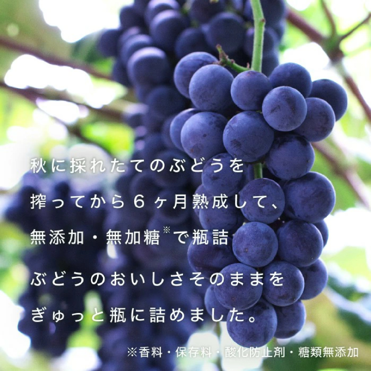 シシ蜈郁。御コ育エシ冗┌豺サ蜉 辟。蜉邉 100%繧ケ繝医Ξ繝シ繝 豼蜴 6縺区怦辭滓 邏ォ豕「逕コ縺ョ縺カ縺ゥ縺繧ク繝・繝シ繧ケシ呈悽繧サ繝繝 邏ォ豕「逕コ逕」 繝繝ュ繝ッ繝シ繝ォ 繧ュ繝」繝ウ繝吶Ν 闡。關 (AL062-1)