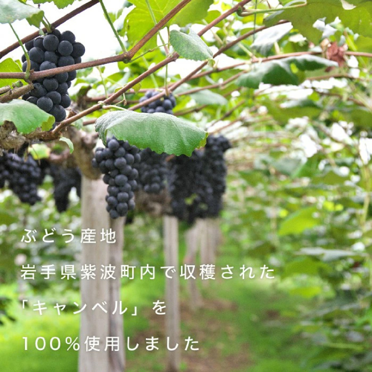 シシ蜈郁。御コ育エシ冗┌豺サ蜉 辟。蜉邉 100%繧ケ繝医Ξ繝シ繝 豼蜴 6縺区怦辭滓 邏ォ豕「逕コ縺ョ縺カ縺ゥ縺繧ク繝・繝シ繧ケシ呈悽繧サ繝繝 邏ォ豕「逕コ逕」 繝繝ュ繝ッ繝シ繝ォ 繧ュ繝」繝ウ繝吶Ν 闡。關 (AL062-1)