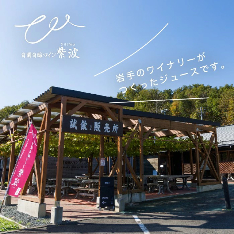 シシ蜈郁。御コ育エシ冗┌豺サ蜉 辟。蜉邉 100%繧ケ繝医Ξ繝シ繝 豼蜴 6縺区怦辭滓 邏ォ豕「逕コ縺ョ縺カ縺ゥ縺繧ク繝・繝シ繧ケシ呈悽繧サ繝繝 邏ォ豕「逕コ逕」 繝繝ュ繝ッ繝シ繝ォ 繧ュ繝」繝ウ繝吶Ν 闡。關 (AL062-1)