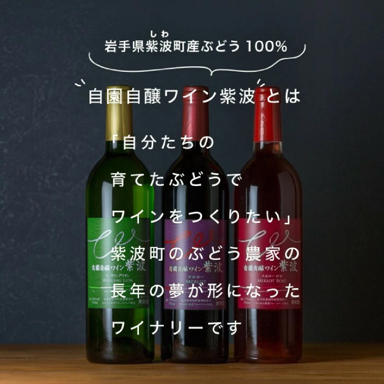 シシ蜈郁。御コ育エシ冗┌豺サ蜉 辟。蜉邉 100%繧ケ繝医Ξ繝シ繝 豼蜴 6縺区怦辭滓 邏ォ豕「逕コ縺ョ縺カ縺ゥ縺繧ク繝・繝シ繧ケシ呈悽繧サ繝繝 邏ォ豕「逕コ逕」 繝繝ュ繝ッ繝シ繝ォ 繧ュ繝」繝ウ繝吶Ν 闡。關 (AL062-1)
