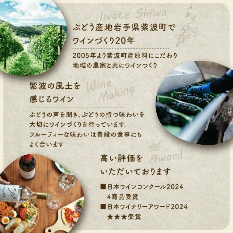 産地限定 ワインぶどう品種使用 自園自醸ワイン紫波 辛口ワイン2本セット 紫波町産 テロワール ワイン (AL045-1)
