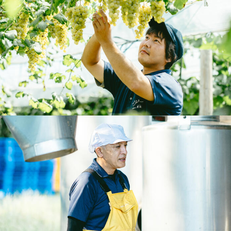 産地限定 ワインぶどう品種使用 自園自醸ワイン紫波 辛口ワイン2本セット 紫波町産 テロワール ワイン (AL045-1)