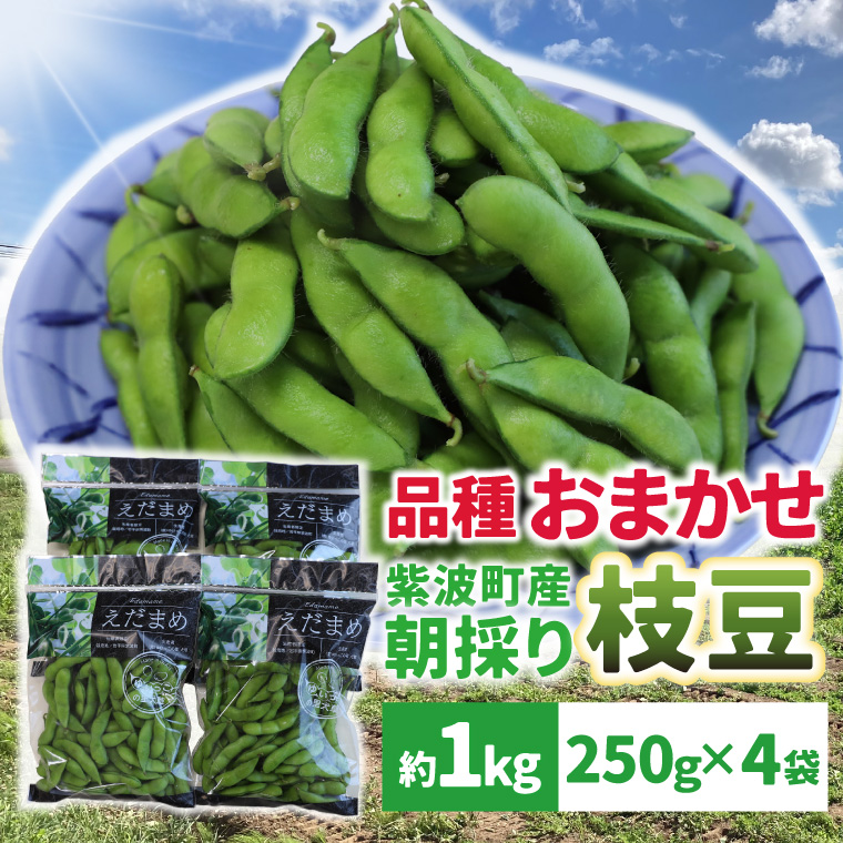 採れたて枝豆 1kg (250g×4袋) 2026年産 新鮮 産地直送 朝採り 朝採れ 野菜 えだまめ 小分け 250g 4袋 1kg 岩手県 紫波町 (DI008)