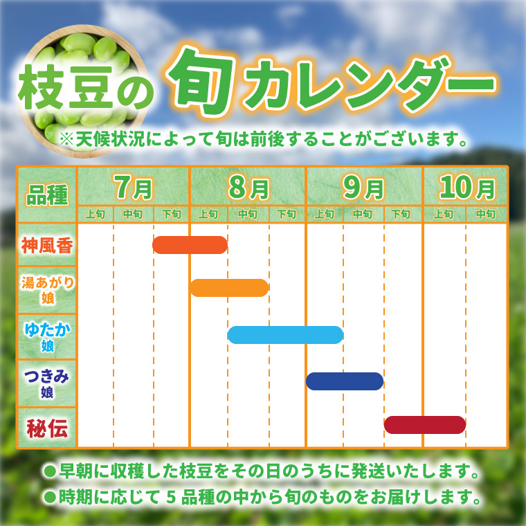 採れたて枝豆 1kg (250g×4袋) 2026年産 新鮮 産地直送 朝採り 朝採れ 野菜 えだまめ 小分け 250g 4袋 1kg 岩手県 紫波町 (DI008)
