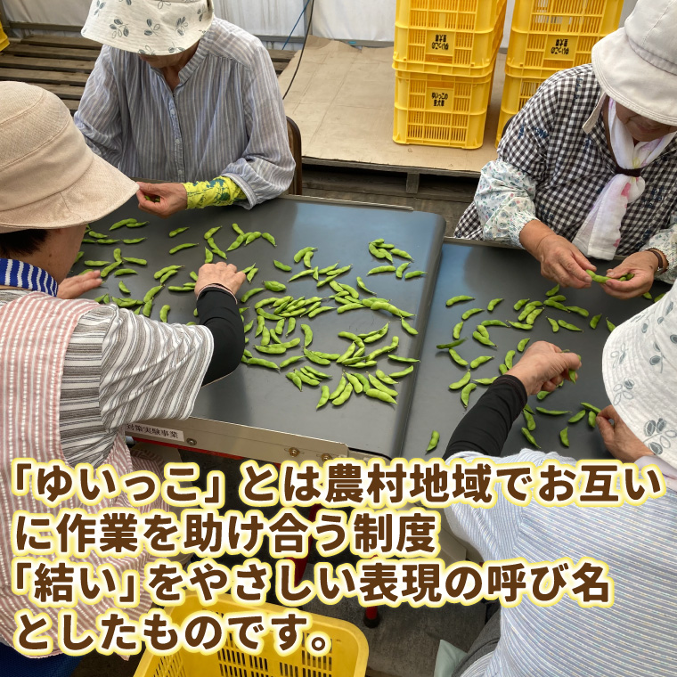 採れたて枝豆 1kg (250g×4袋) 2026年産 新鮮 産地直送 朝採り 朝採れ 野菜 えだまめ 小分け 250g 4袋 1kg 岩手県 紫波町 (DI008)
