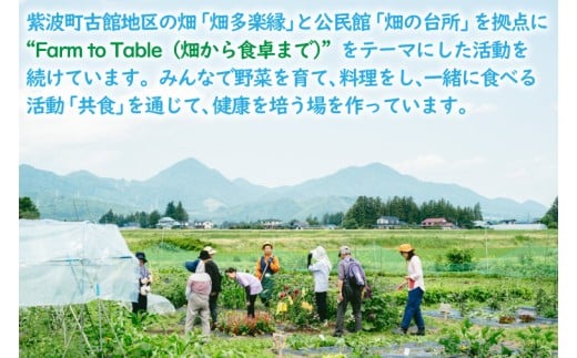 逡代ョ蜿ー謇 鬟滉コ句虻 蟷エ髢薙ヱ繧ケ繝昴シ繝 (荳闊ャ遉セ蝗」豕穂ココ縺上i縺励ョ遐皮ゥカ螳、)シEY001シ