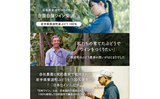 甘口ワイン3本セット (AL101)