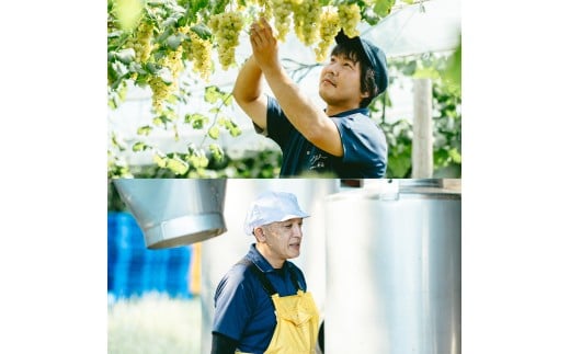 玫波çºã®èµ€çœã¯ã€ã³375ml 2æ¬ã»ãã (AL106)