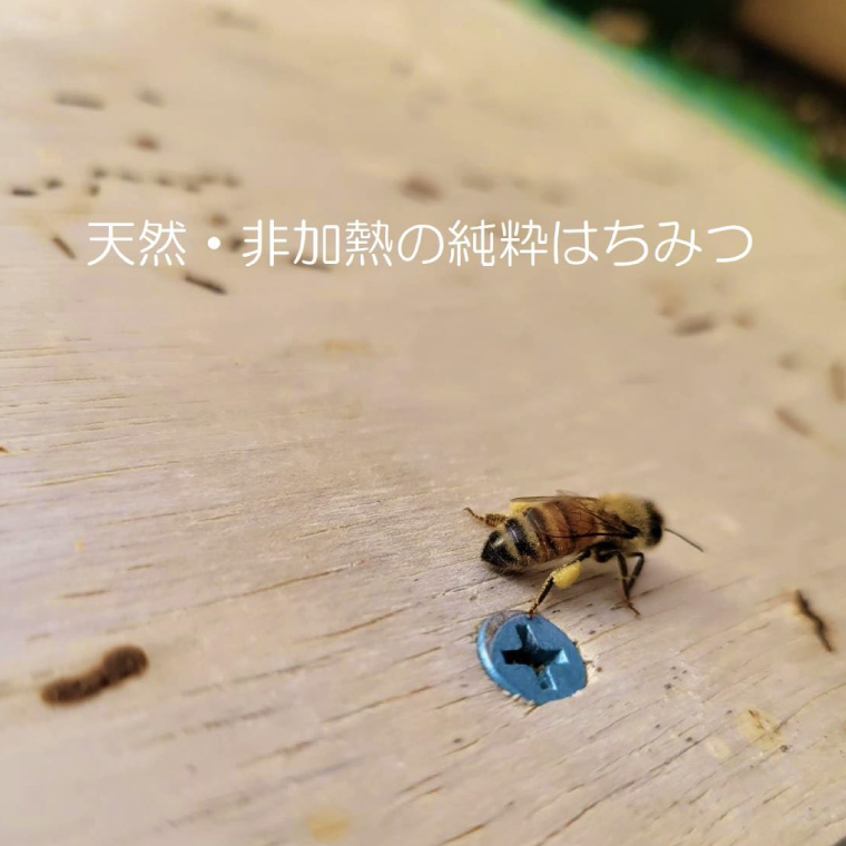 邏皮イ九ッ縺。縺ソ縺、 300gテ2譛ャシ医い繧ォ繧キ繧「繝サ逋セ闃ア陷懶シ (ES001)