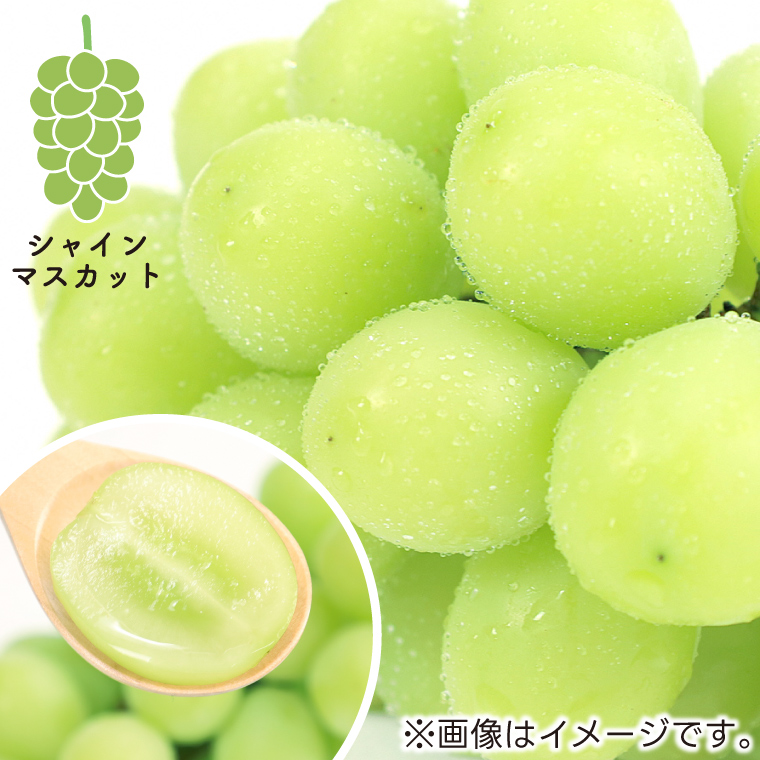 【先行予約】ぶどう 2種 食べ比べ セット 約1kg (各1房) (AR033) シャインマスカット クイーンニーナ 2026年産 希少品種 数量限定 岩手県 紫波町産 産地直送 フルーツ 葡萄 ブドウ 高品質 完熟 甘い 新鮮