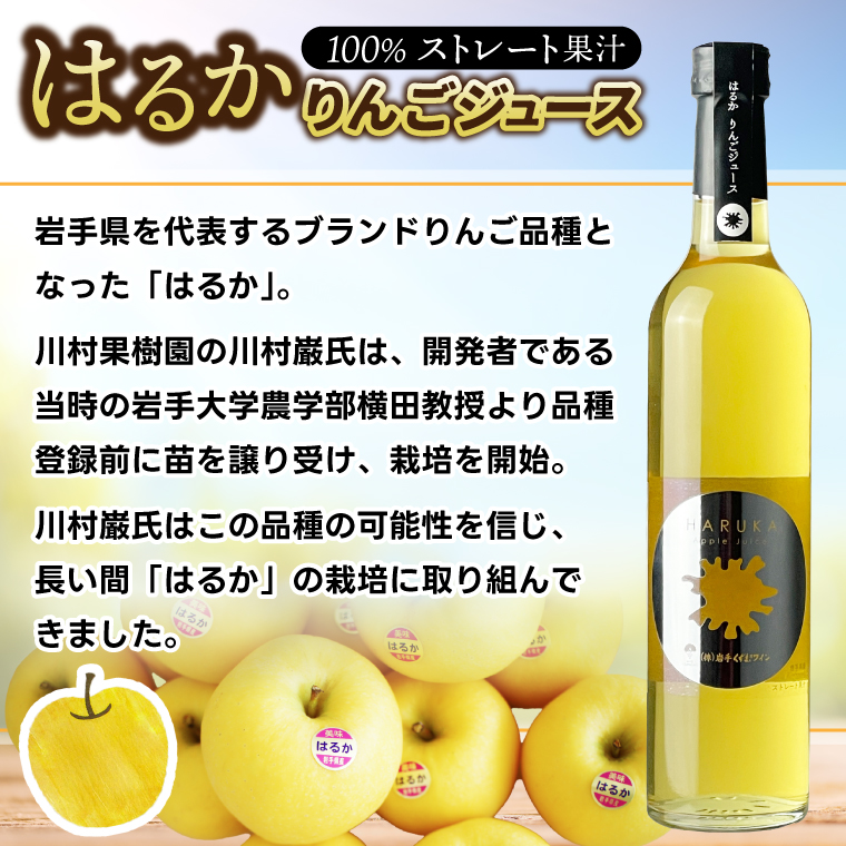 はるか りんごジュース ２本セット【ジュース 果汁100％ ストレートジュース フルーツジュース 岩手県 紫波町産 りんご】（EX001）
