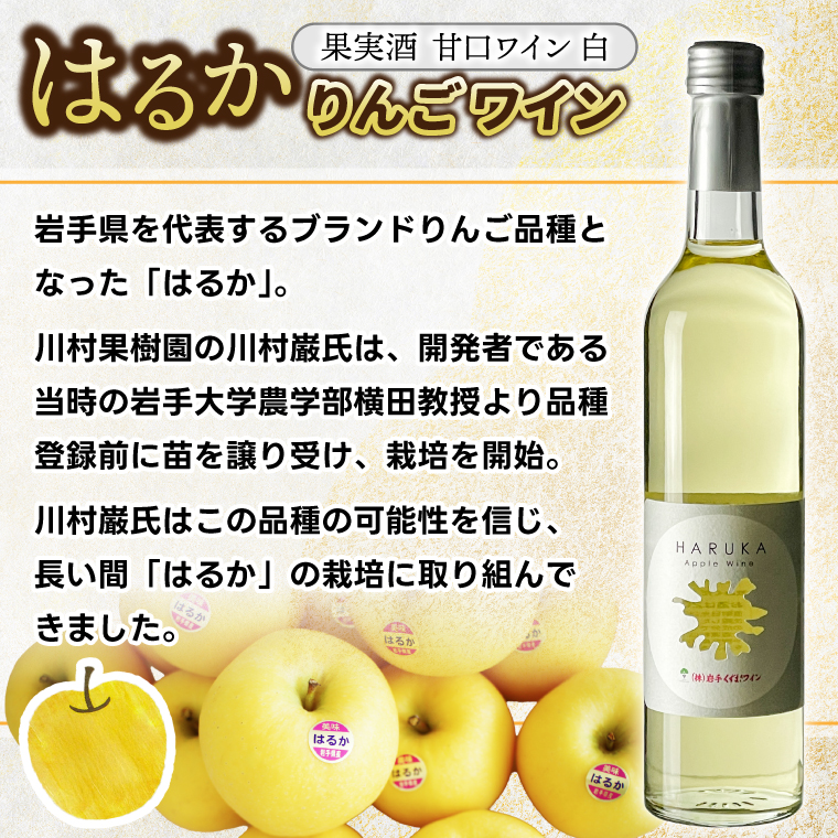 はるか りんごワイン ２本セット【ワイン フルーツワイン 岩手県 紫波町産 りんご】（EX002）