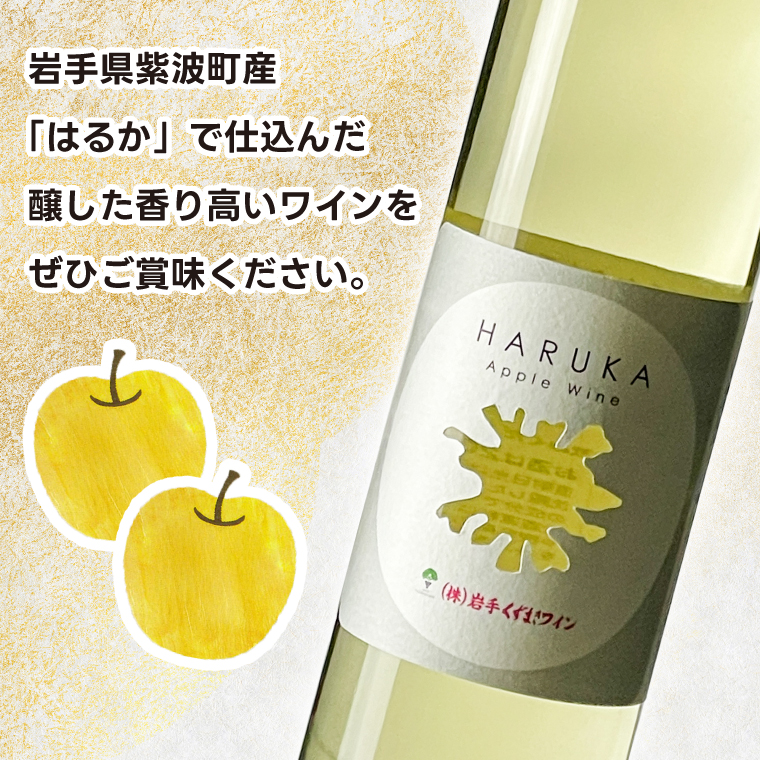 はるか りんごワイン ２本セット【ワイン フルーツワイン 岩手県 紫波町産 りんご】（EX002）