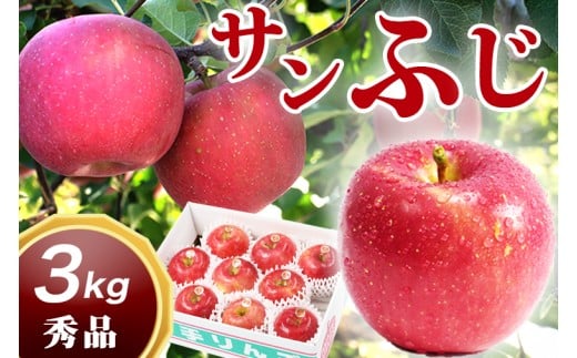 サンふじ 3kg 贈答用 りんご  岩手 紫波町産 秀品 (DV053)