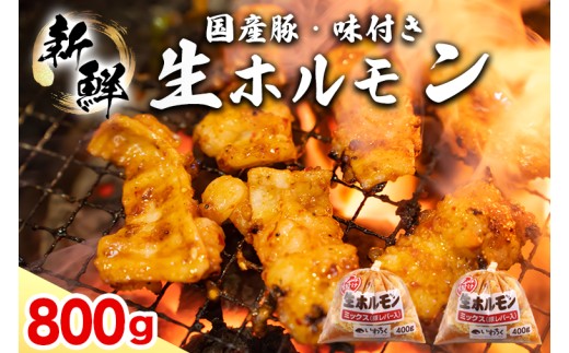 国産豚 味付き 生ホルモン ミックス(レバー入り)  800g (400g×2パック) (DV042)