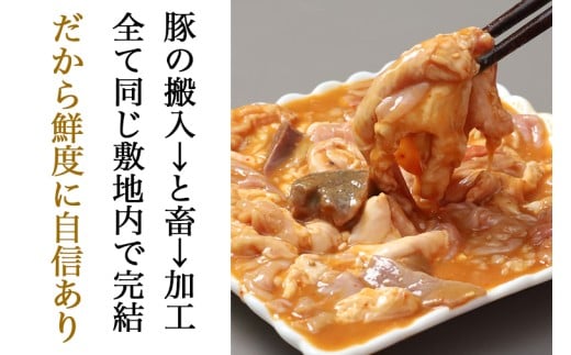 国産豚 味付き 生ホルモン ミックス(レバー入り)  800g (400g×2パック) (DV042)