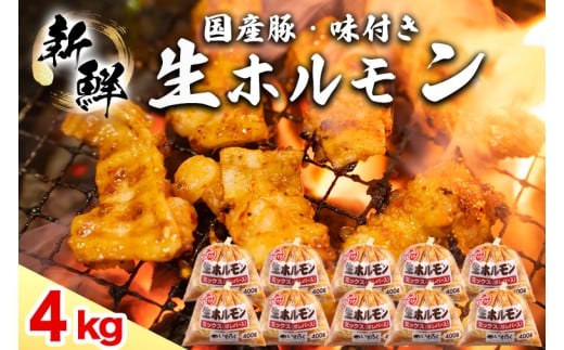 国産豚 味付き 生ホルモン ミックス(レバー入り)  4000g (400g×10パック) (DV051)