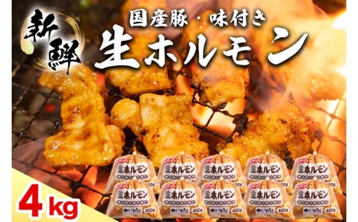 国産豚 味付き 生ホルモン 白(レバーなし) 4000g (400g×10パック) (DV052)