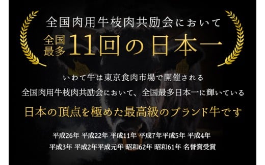 黒毛和牛 いわて牛 乱切り 500g (250g×2パック) 【2026年7月中旬以降発送】（DV056）