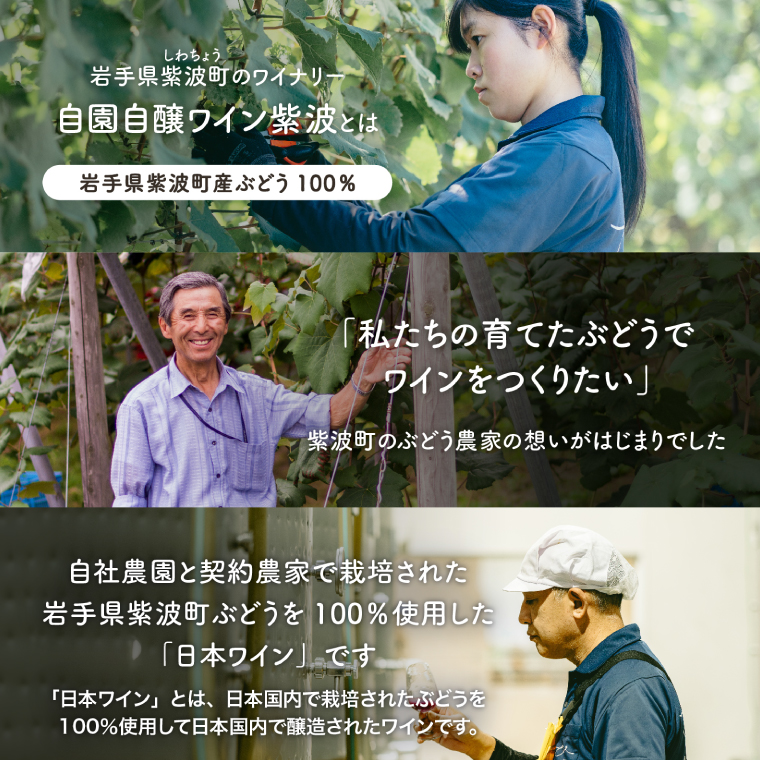 やや甘口シワノ紅白２本セット【自園自醸ワイン紫波】甘口 セット ワイン (AL107)