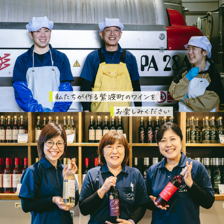 やや甘口シワノ紅白２本セット【自園自醸ワイン紫波】甘口 セット ワイン (AL107)