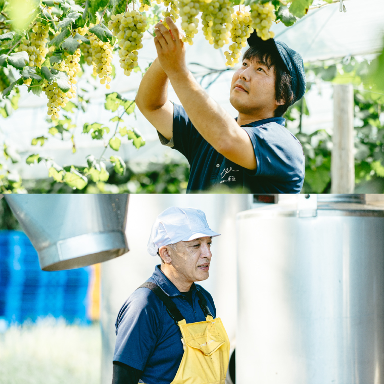 やや甘口シワノ紅白２本セット【自園自醸ワイン紫波】甘口 セット ワイン (AL107)