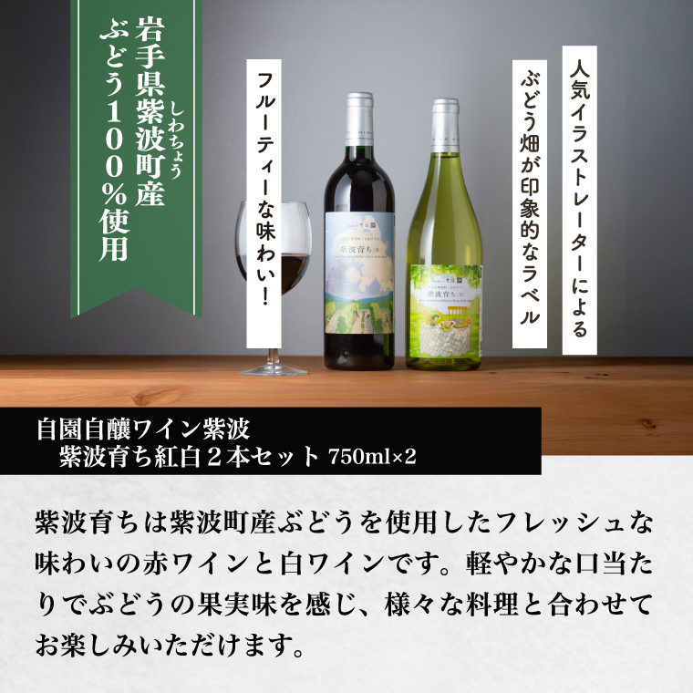 紫波育ち紅白２本セット【自園自醸ワイン紫波】赤 白 セット 飲み比べ ワイン (AL108)