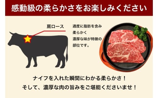 いわて短角和牛 肩ロースステーキ 300g (150g×2)（DV063）