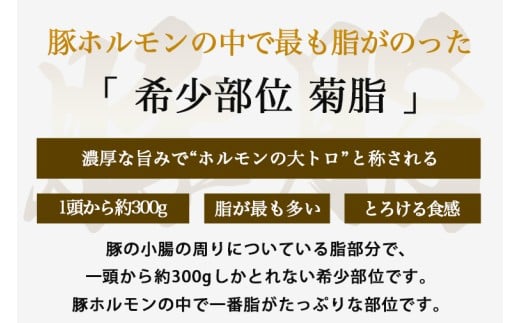 国産豚ホルモン 大トロ キクアブラ 1500g (150g×10)（DV068）
