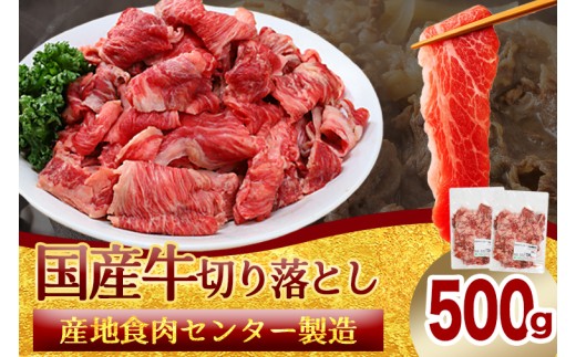 ★先行予約 2月中旬より発送★ 国産牛切り落とし500g（250g×2パック）（DV070）