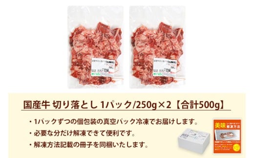 ★先行予約 2月中旬より発送★ 国産牛切り落とし500g（250g×2パック）（DV070）