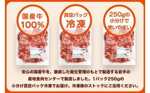 ★先行予約 2月中旬より発送★ 国産牛切り落とし500g（250g×2パック）（DV070）