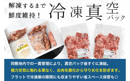 ★先行予約 2月中旬より発送★ 国産牛切り落とし500g（250g×2パック）（DV070）