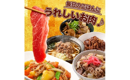 ★先行予約 2月中旬より発送★ 国産牛切り落とし500g（250g×2パック）（DV070）