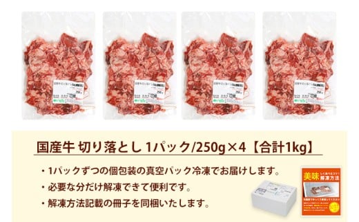 ★先行予約 2月中旬より発送★ 国産牛切り落とし1kg（250g×4パック）（DV071）