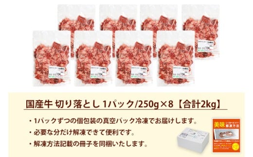★先行予約 2月中旬より発送★ 国産牛切り落とし2kg（250g×8パック）（DV072）