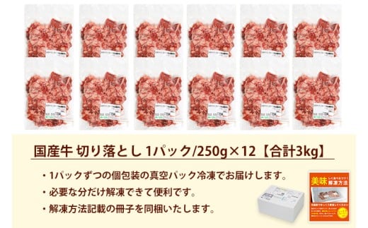 ★先行予約 2月中旬より発送★ 国産牛切り落とし3kg（250g×12パック）（DV073）