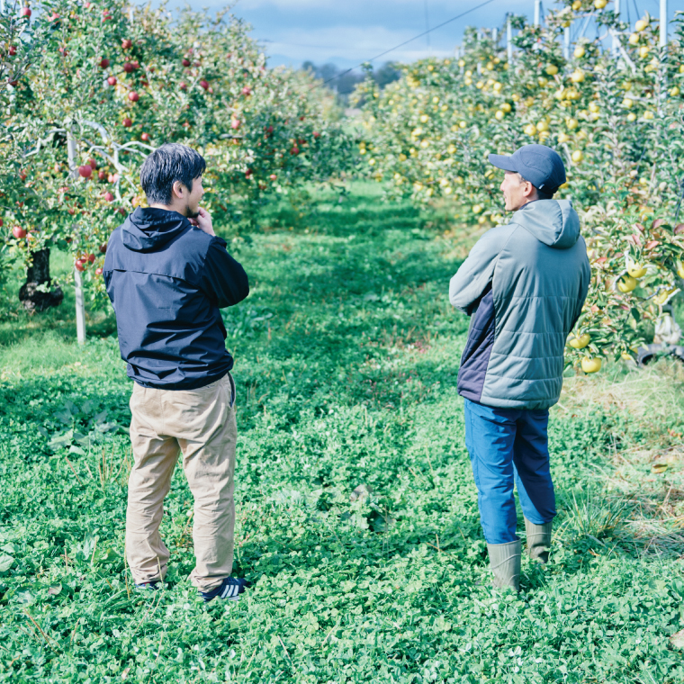 Green Neighbors Hard Cider FLAGSHIP 12本set (DRY)【毎月数量限定】(DB016)