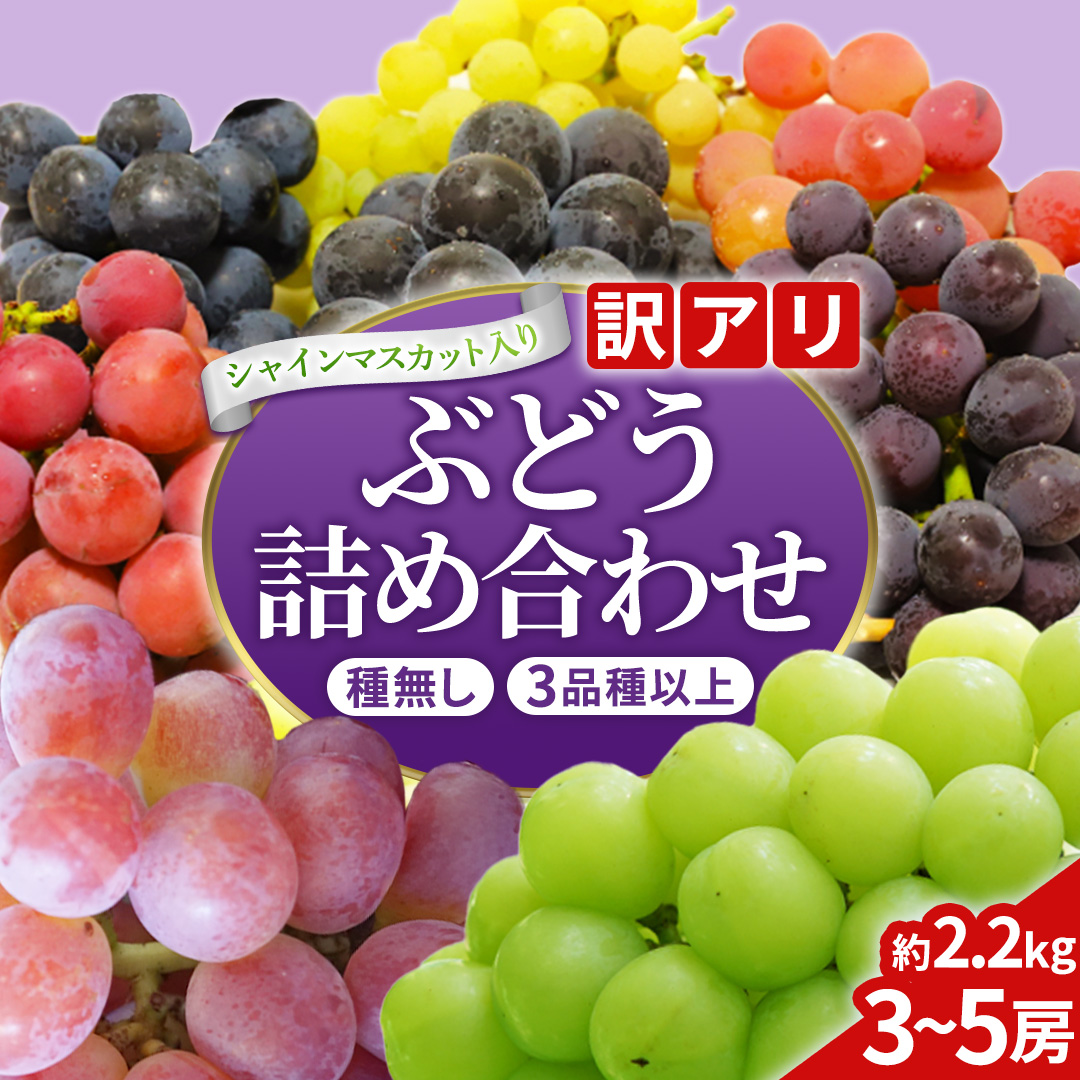 ＼訳あり ご家庭用／大粒ぶどう（種なし）詰合せ 合計 3～5房入 ブドウ 葡萄 フルーツ 果物 旬 わけあり 先行予約 食べ比べ くだもの ふるーつ 取り寄せ 詰め合わせ 種無し 種なし セット デザート (DM004)